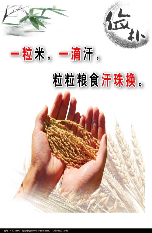 马里兰州身份证样本照片